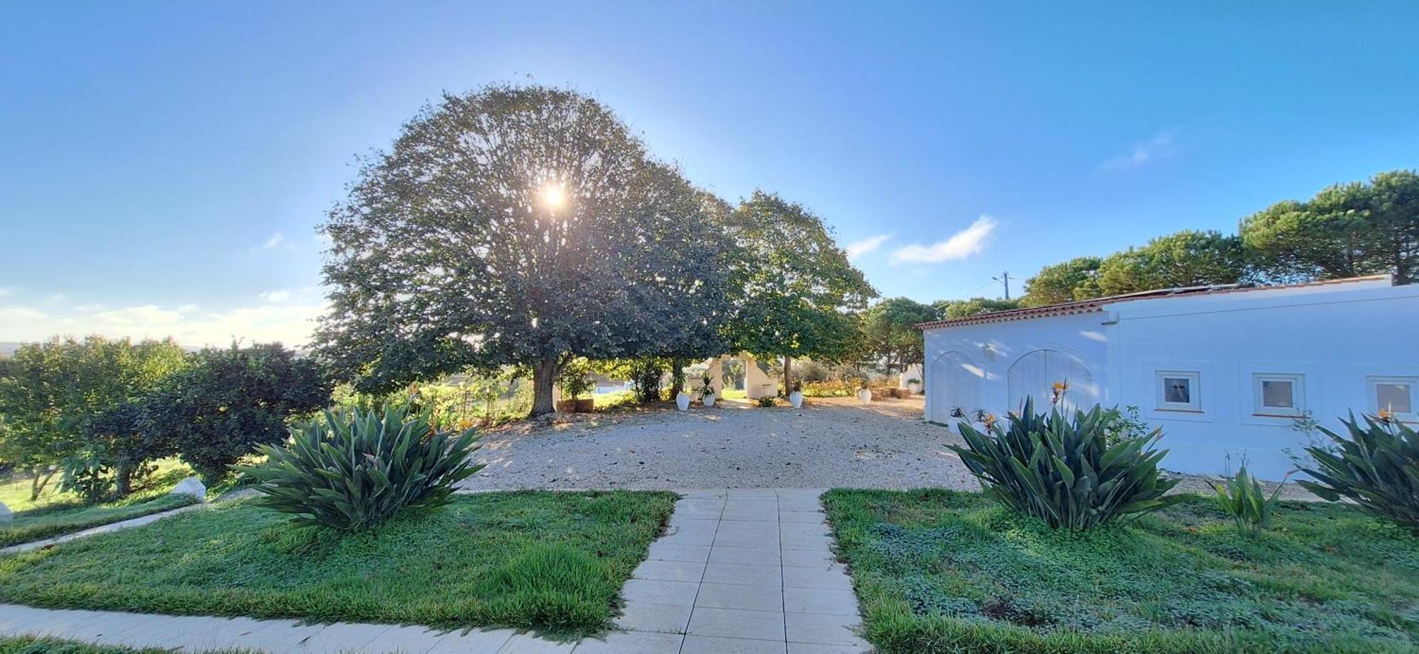 Portela Guesthouse Cercal do Alentejo Exterior foto